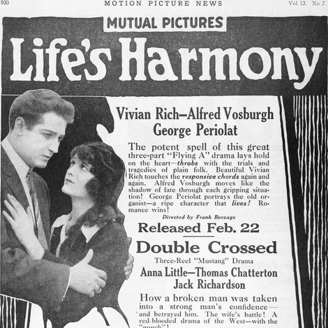 Life's Harmony