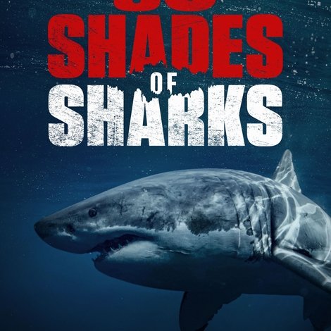 50 Shades of Sharks