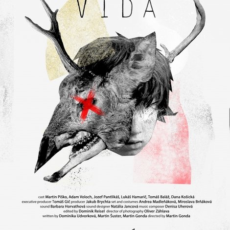Pura Vida