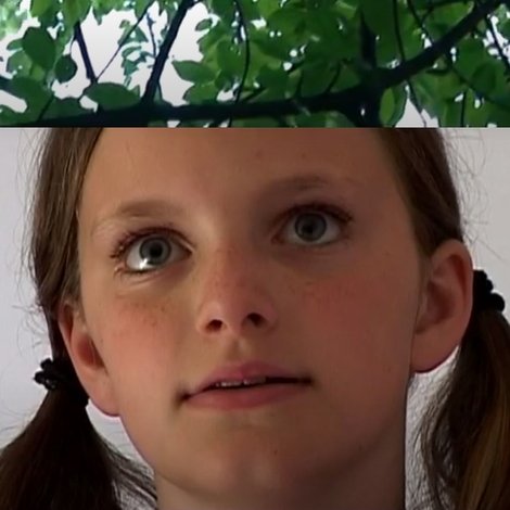 Majblomma
