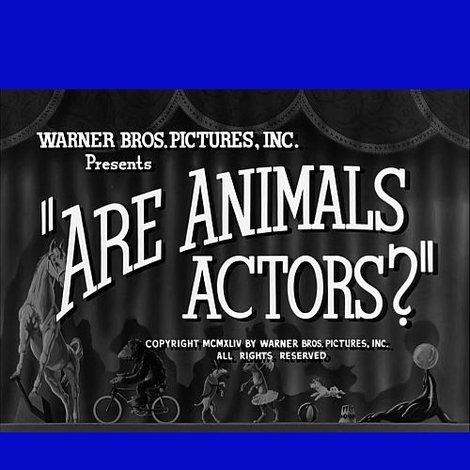Are Animals Actors?