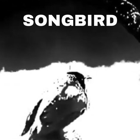 Songbird