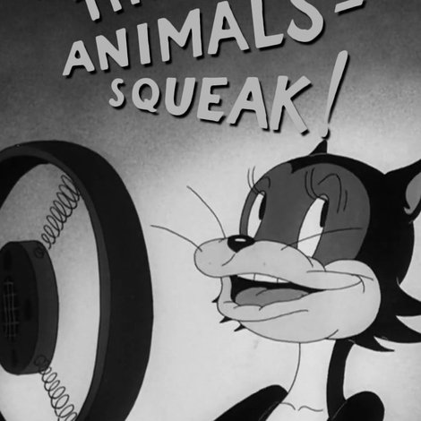 We, the Animals - Squeak!