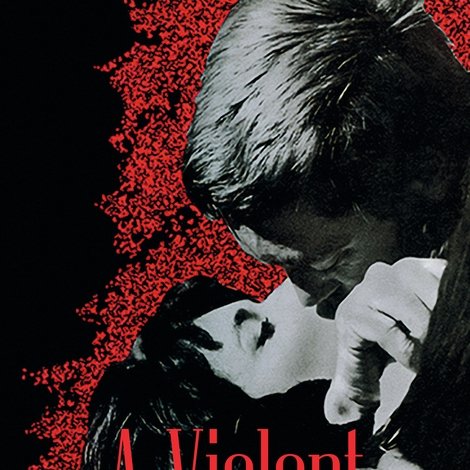 Una vita violenta