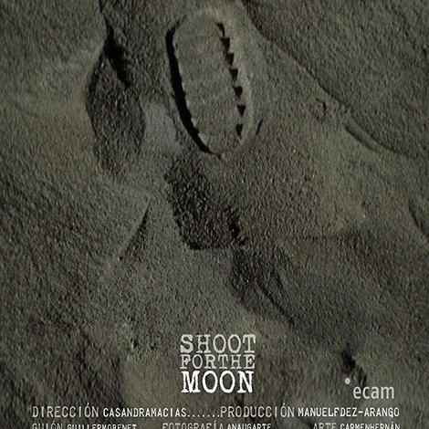 Shoot for the Moon