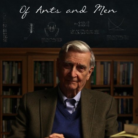 E.O. Wilson – Of Ants and Men