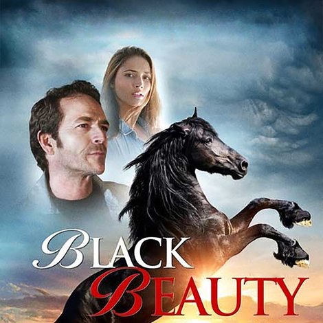 Black Beauty