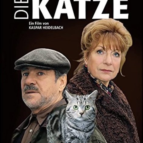 Die Katze