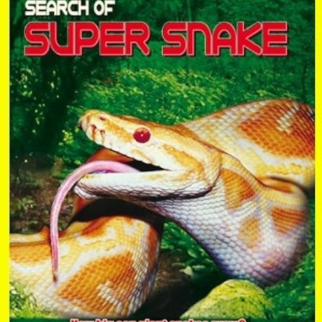 Search For the Supersnake