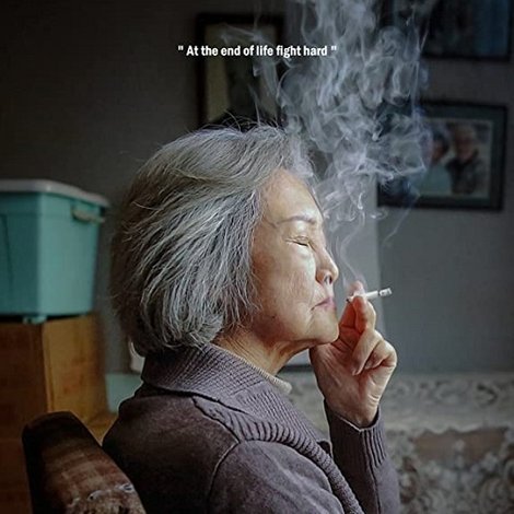 冰下的鱼