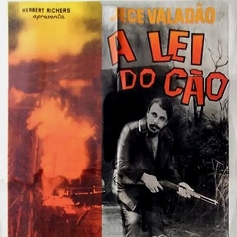 A Lei do Cão