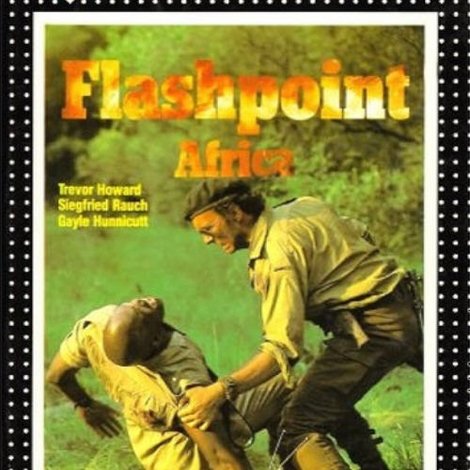 Flashpoint Africa