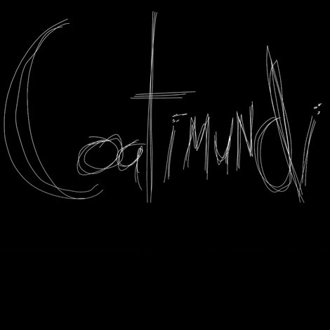 Coatimundi