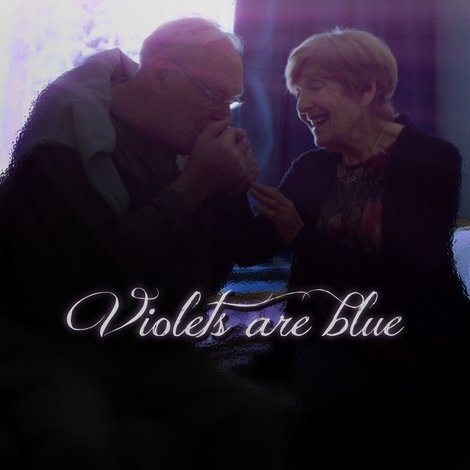 Violets are Blue