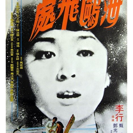 海鷗飛處