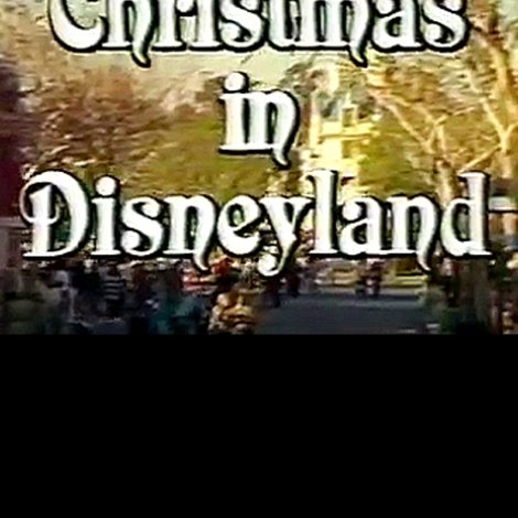 Christmas in Disneyland