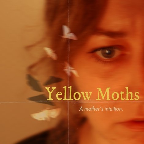 Yellow Moths