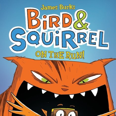 Bird & Squirrel