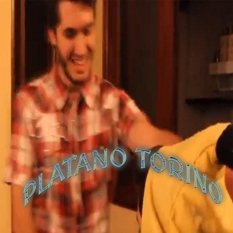 Platano Torino