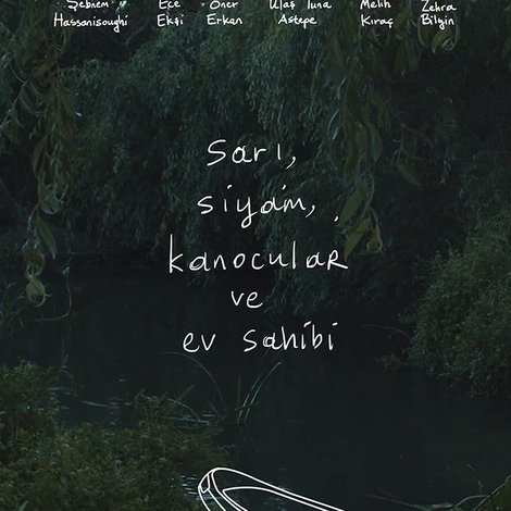 Sarı, Siyam, Kanocular ve Ev Sahibi