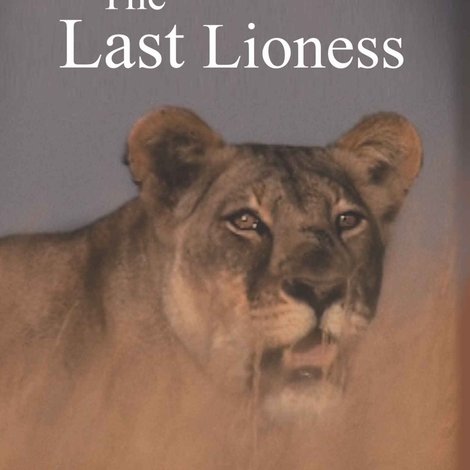The Last Lioness