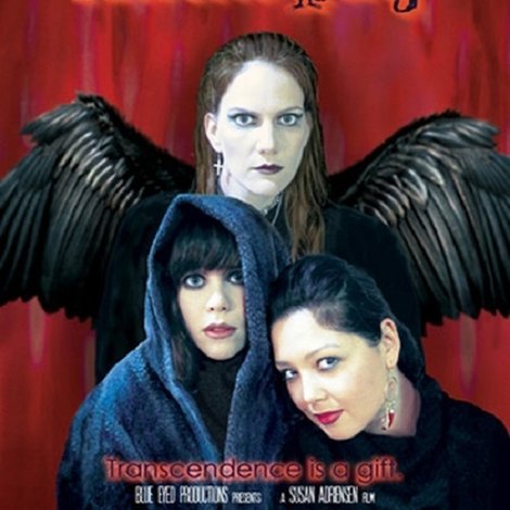 Under the Ravens Wing