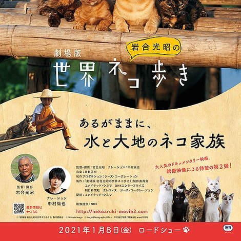 劇場版 岩合光昭の世界ネコ歩き あるがままに、水と大地のネコ家族