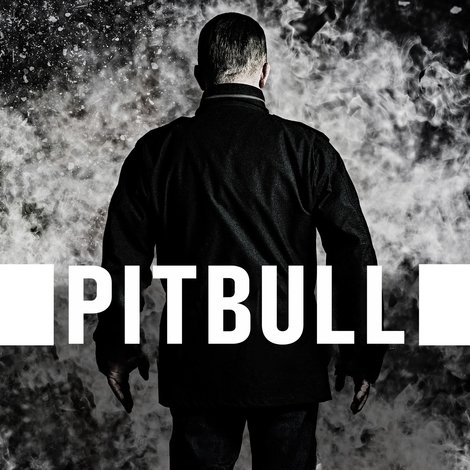 Pitbull