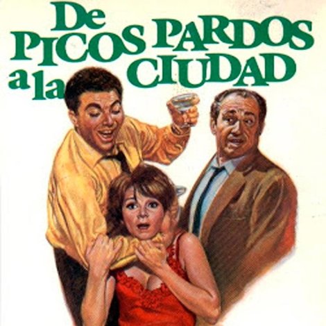 De picos pardos a la ciudad