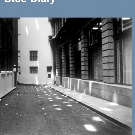 Blue Diary