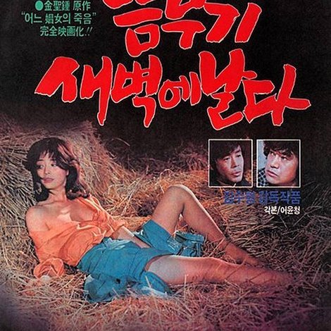 뜸부기 새벽에 날다