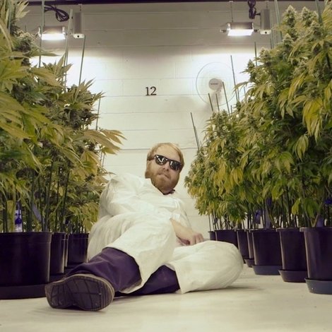 Randy Wants To Try Marijuana