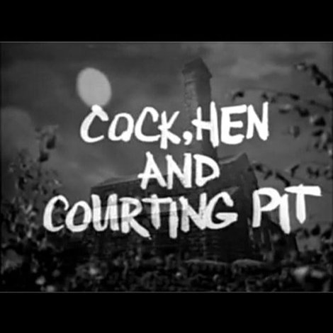 Cock, Hen and Courting Pit