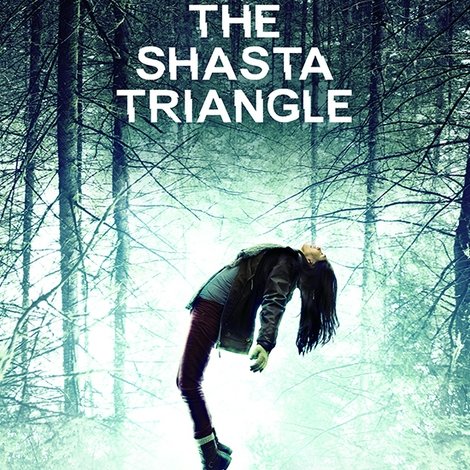 The Shasta Triangle