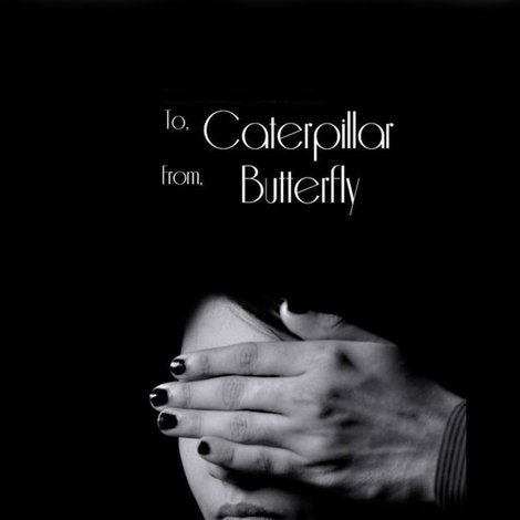 To Caterpillar, From Butterfly