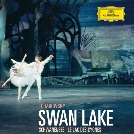 Der Schwanensee