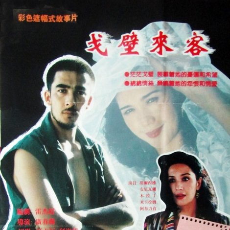 戈壁来客