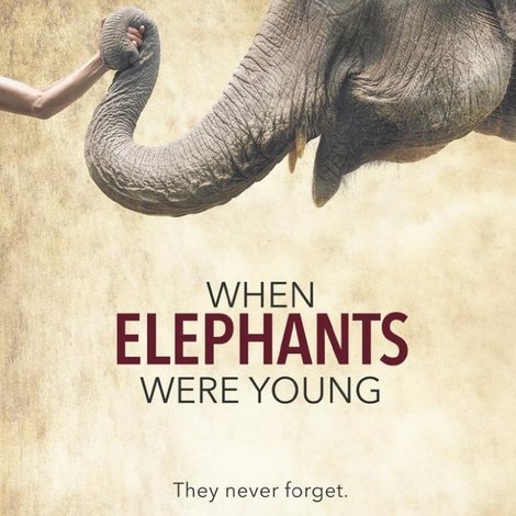 When Elephants Were Young