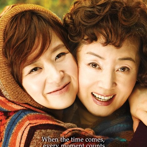 애자