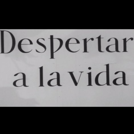 Despertar a la vida