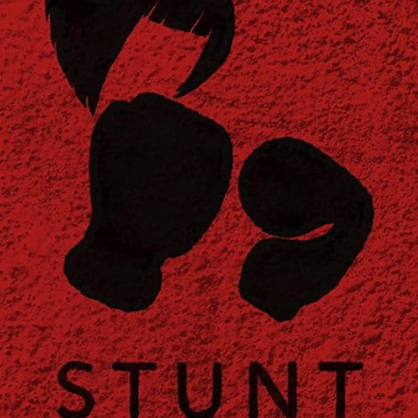 Stunt Fighter
