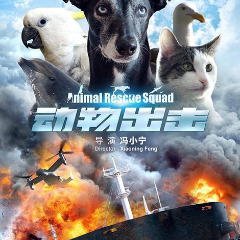 动物出击