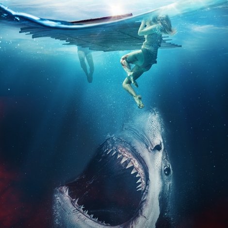 The Requin