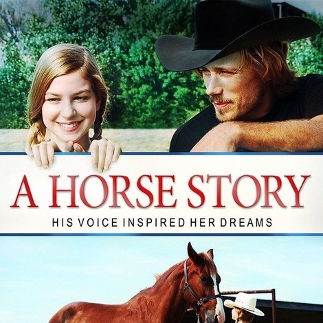 A Horse Story