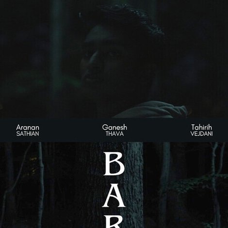 Bark