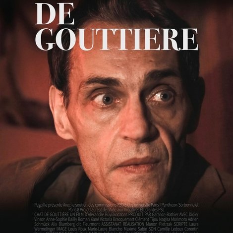 Chat de gouttière