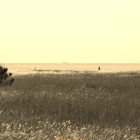 wandering camera