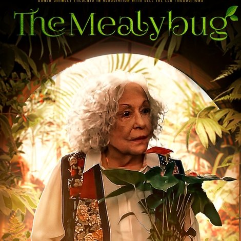 The Mealybug