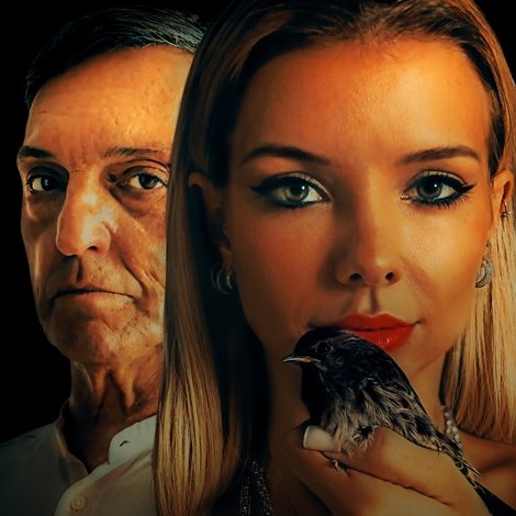Carcaça
