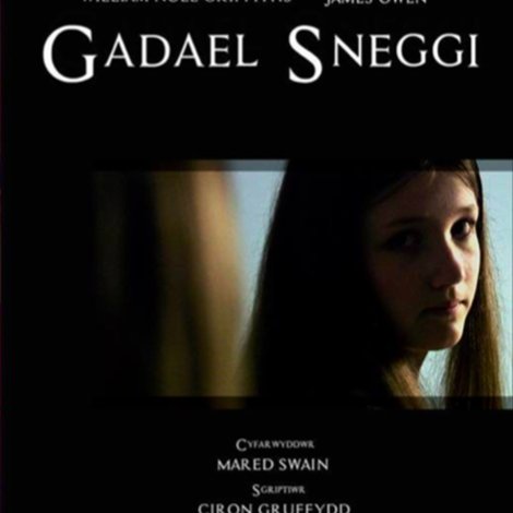 Gadael Sneggi